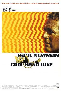 Cool Hand Luke 1967 İzle