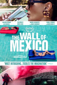The Wall of Mexico 2019 İzle